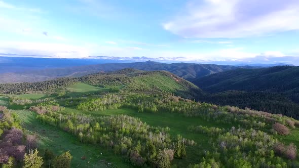 Drone view of a beautiful forest in a mountain range in the Rocky Mountains alt