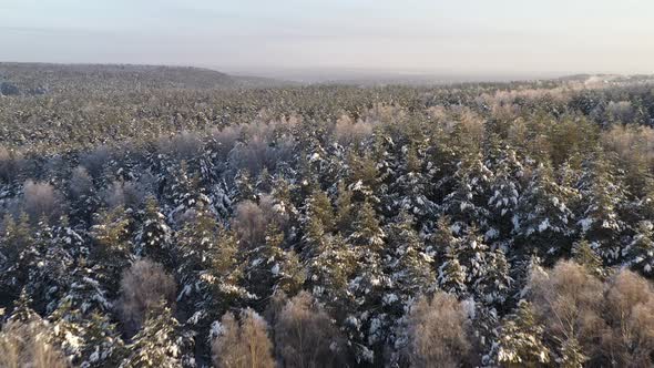 AERIAL: Fast Drone Flying Over Siberia Forest in Cold Winter