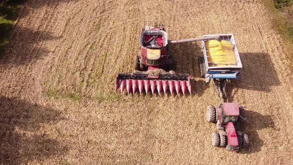 Combine Harvester At Work Unloading Harvested Corn Grains Into Trailer At The Farm. aerial alt