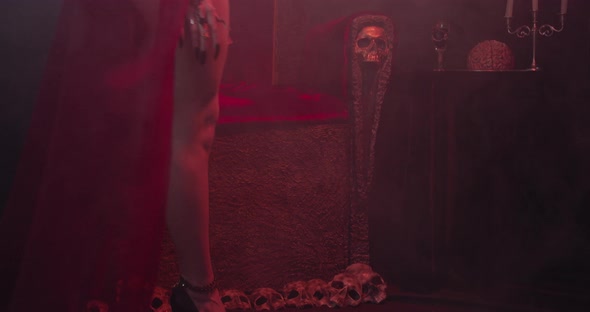 Succubus Is Walking Into the Frame and Sits Down on the Throne Film Grain alt