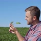 A Young Farmer Looks at a Soybean Sprout in His Field - VideoHive Item for Sale