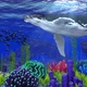 Aquarium - VideoHive Item for Sale