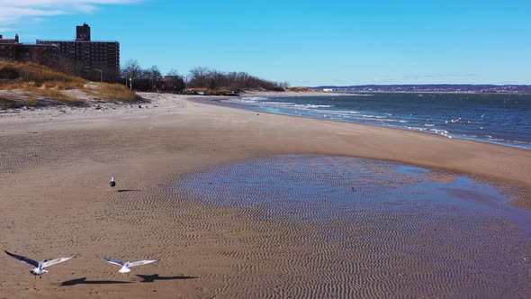a low dolly in as seagulls fly on a quiet beach. The drone camera shows the shore line and some apar alt