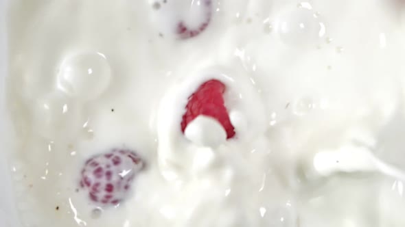 Top View Slow Motion Fresh Juicy Berries Falling Into White Milk or Yogurt Closeup alt