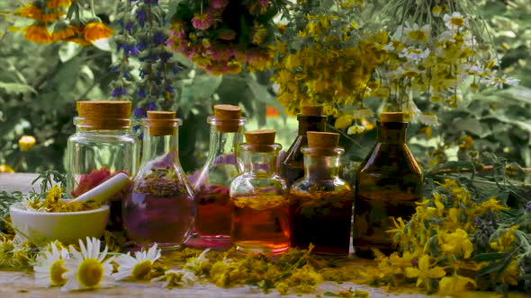 Bottled Herbal Tincture Homeopathy alt