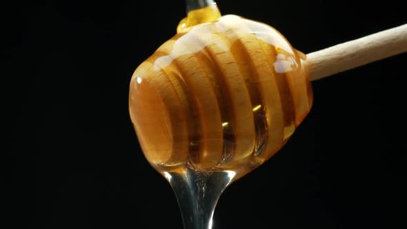 Close Up Fresh Thick Fluid Acacia Honey Pouring and Flowing From Wooden Dipper Spoon Over Black alt