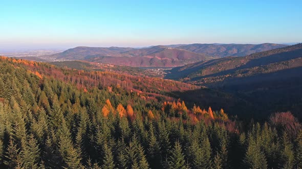 Beskid mountains. Fly above trees insunset colours with distant view of lake