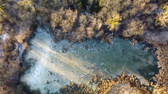 Aerial view on frozen wild lake in wintry forest