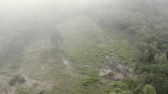 Aerial drone shot in mist and fog above field alt