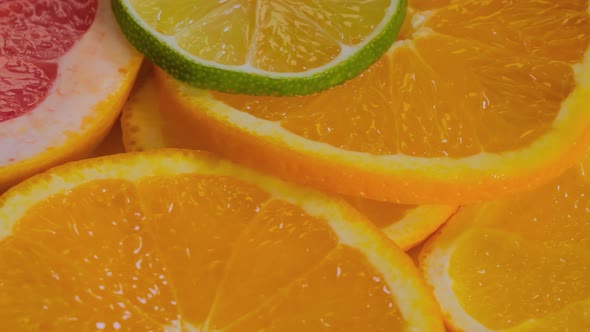 Citrus Fruit Slices  Grapefruit Orange Lemon and Lime on Rotating Surface