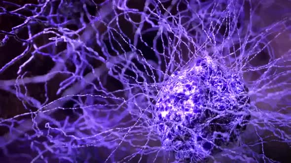 Nucleus and ribosomes working together in the process of protein synthesis alt