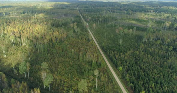 Country Road Between Green Forest and Deforestation Areas Aerial View alt