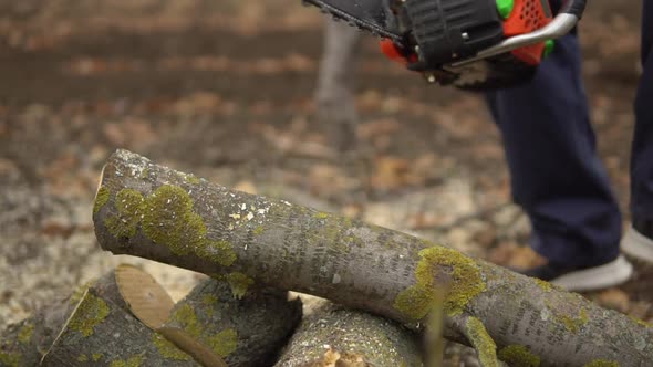 Arborist Sawing Log By Chainsaw in Slow Motion