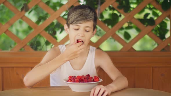 Boy Relaxing Outdoors and Eating Strawberries