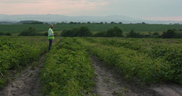 Agronomist Uses a Drone To Study the Field. Agronomist Uses Technologies in the Production of alt