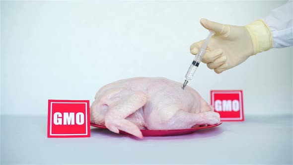 Hand Doing Injection Into a Raw Chicken alt