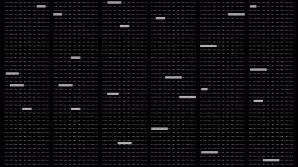 Cyber Crime Computer Hacker Screen 1 alt