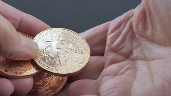 A Businesswoman Calculates Bitcoin Coins From One Hand to Another