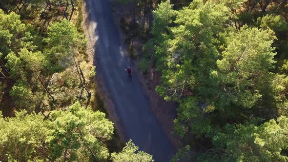 Man Riding Bicykle In Forest. Drone Shot.