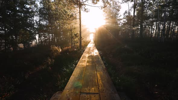 Pan Up at Fantasy Wooden Pathway in Morning with Sun Beams Coming Through Trees alt