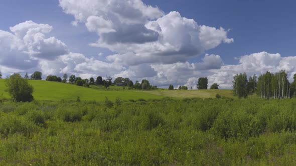 Latvian Green Landscape on a Spring Sunny Day