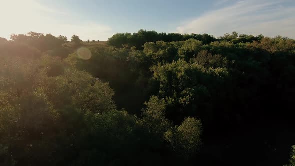 Drone flying over a river in the countryside. The forest grows on the banks of the river. The day is alt