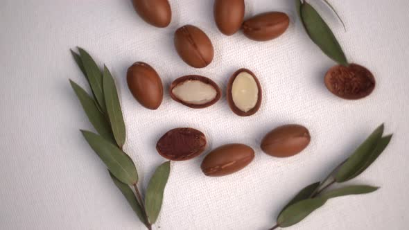 Argan Seeds on a White Background alt