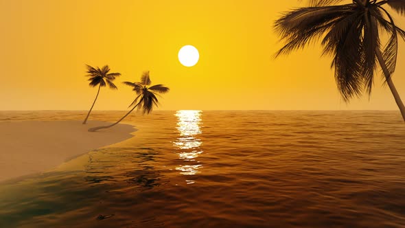 Orange sunset on a wild tropical beach with palm trees