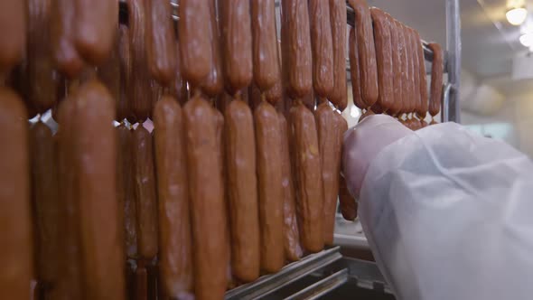 Worker of the Meat Processing Factory Examines Readymade Sausages Before the Packaging alt