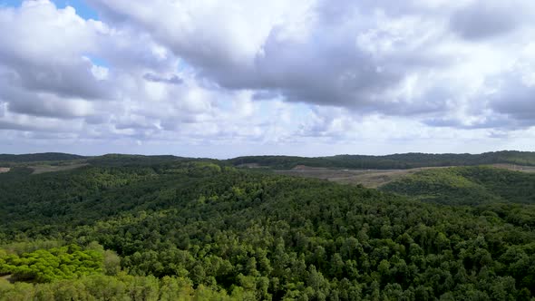 Drone flight over the north Istanbul forest. Cloudy sky and green nature alt