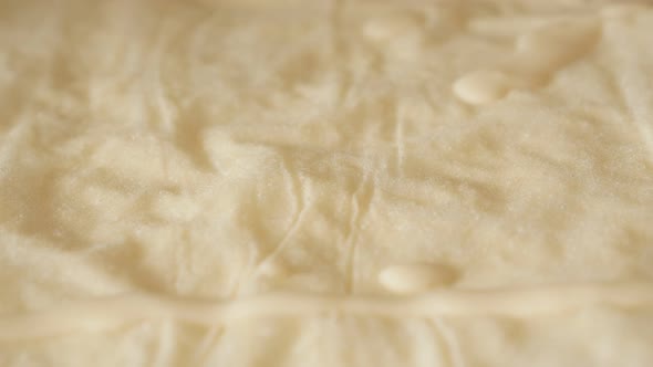 Vegetable oil and beaten eggs mixture spreading over phyllo thin sheets of dough 4K 2160p 30fps UHD  alt