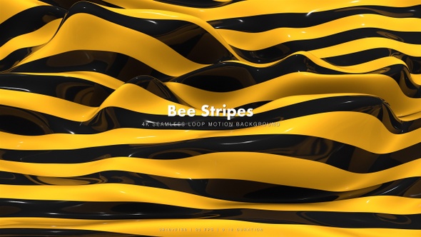 Bee Stripes 12 alt