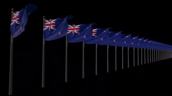 Row Of New Zealand Flags With Alpha 2K alt