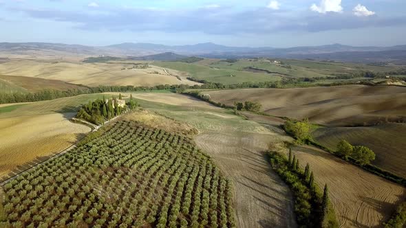 Villa in Tuscany Italy with Olive tree orchards and cypress trees, Aerial circle right reveal shot alt