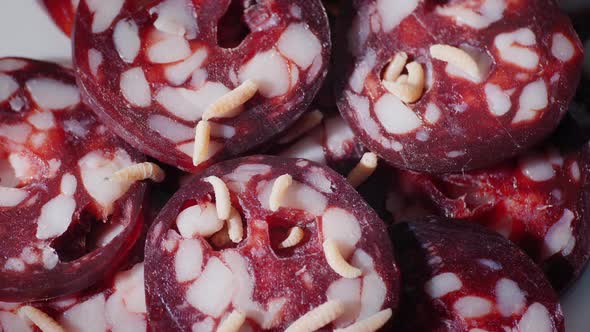 Worms on Sausage Video of Spoiled Food alt