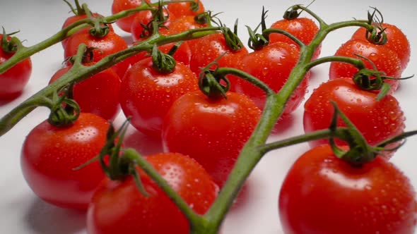 Beautiful Juicy Cherry Tomatoes on a Branch alt