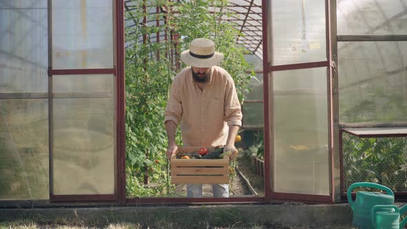Overworked Caucasian Male Farmer Raising Wooden Box with Harvest Suffering Back Pain alt
