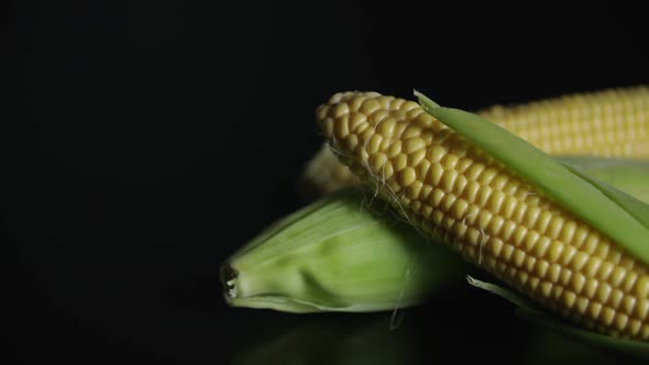 Pan Shot Corn In Studio