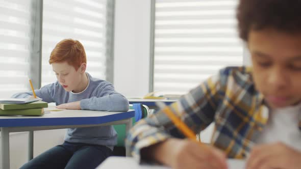 Two Diverse School Boys during Lesson alt