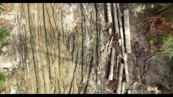 Aerial Drone view of tree logs lie on a dirt road among green trees in the forest alt