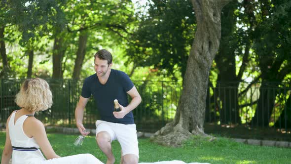 A Couple Having a Romantic Picnic in the Park with Champagne, Slow Motion alt