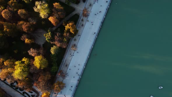 Drone Photography of Trees Bordering the Great Pond of Retiro Park