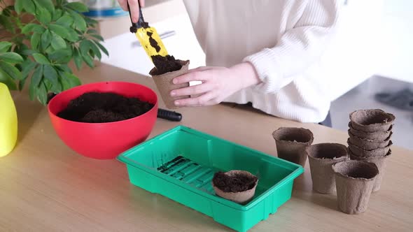 Side View of the Hands of a Young Woman Planting Seeds at Home