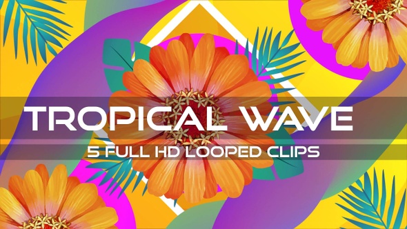 Tropical Wave VJ Loop