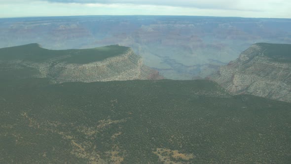 Aerial view of Grand Canyon with green forests alt