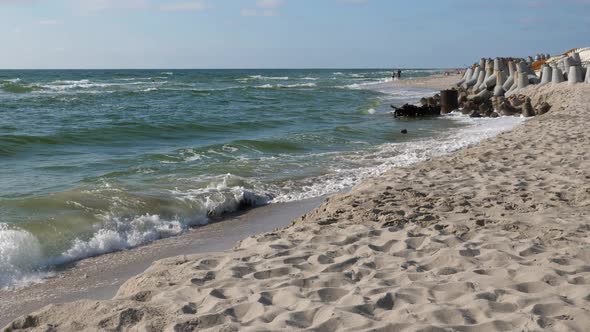 Baltic Coastline with Summer Forest and the Sea alt