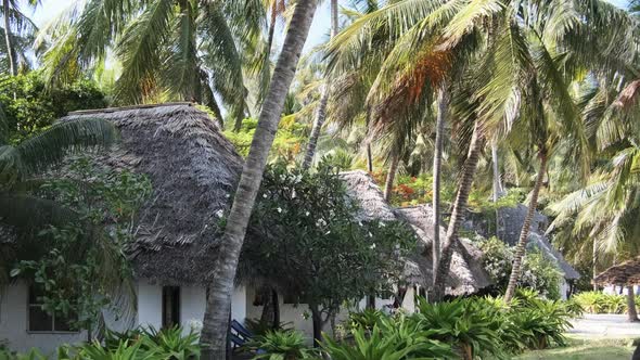 Tropical Beach Hotel with Thatched Roofs in Palm Groves By Ocean Zanzibar Paje alt