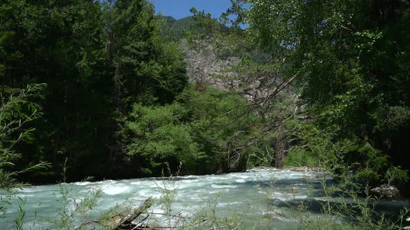 Mountain river in summer green forest alt