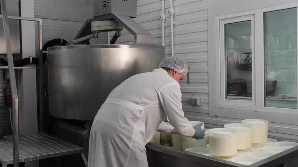 Diary Cheese Factory Operator Checking The Cheese Molds alt