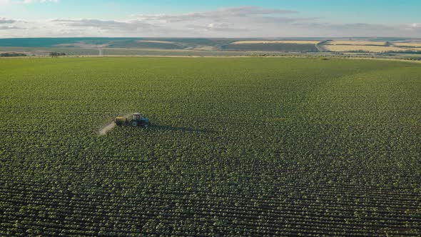 Aerial View of Farming Tractor Spraying on Field with Sprayer, Herbicides and Pesticides at Sunset alt